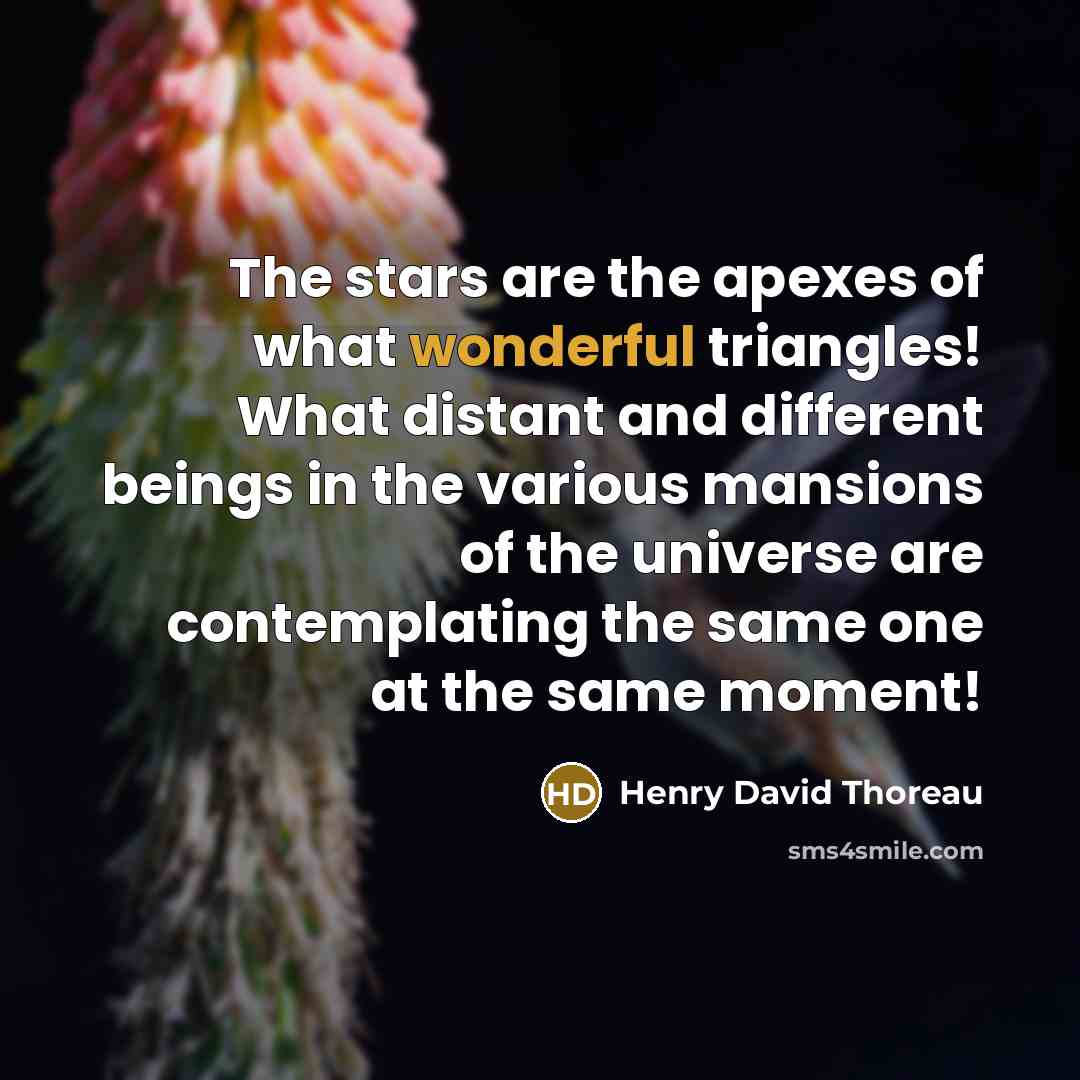“The stars are the apexes of what wonderful triangles! What…” quote by Henry David Thoreau