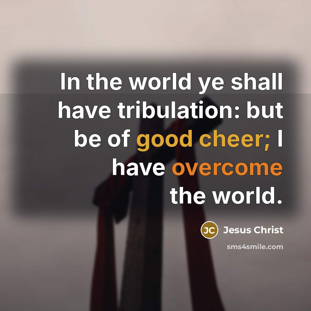 “In the world ye shall have tribulation: but be of good cheer; I have overcome the world.” quote by Jesus Christ