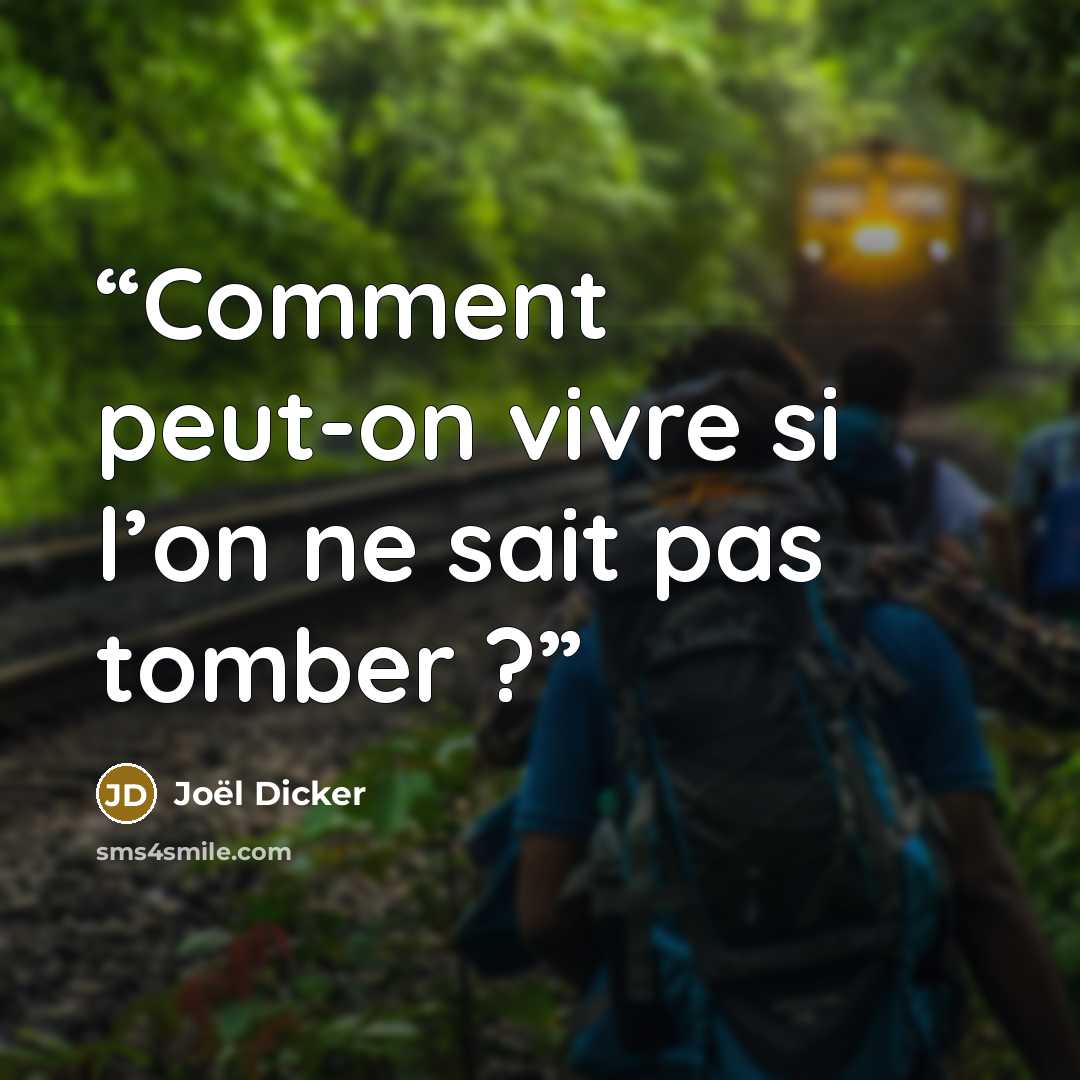 “Comment peut-on vivre si l’on ne sait pas tomber ?” quote by Joël Dicker