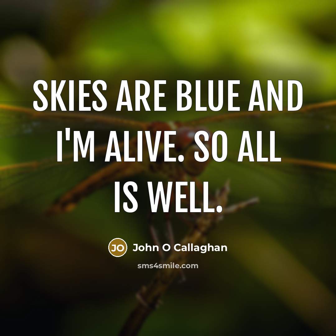 “Skies are blue and I'm alive. So all is well.” quote by John O Callaghan