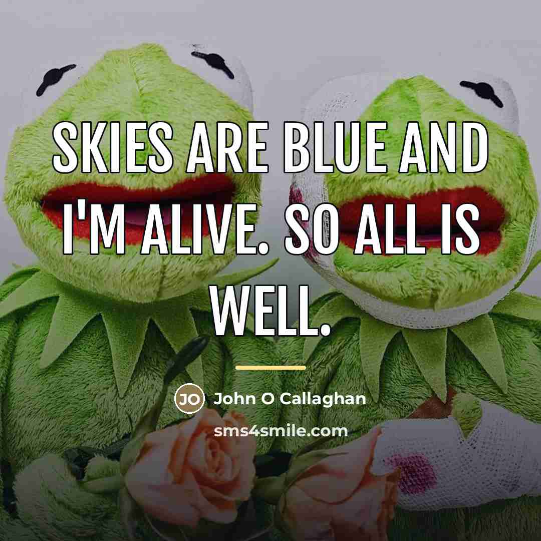 “Skies are blue and I'm alive. So all is well.…” quote by John O Callaghan