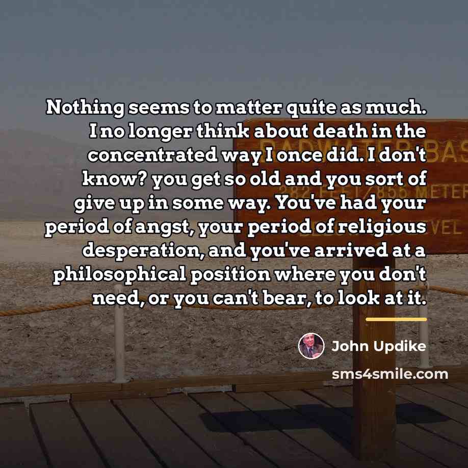 “Nothing seems to matter quite as much. I no longer…” quote by John Updike