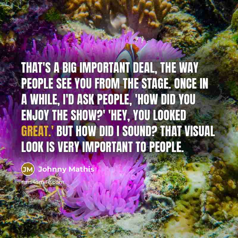 “That's a big important deal, the way people see you…” quote by Johnny Mathis