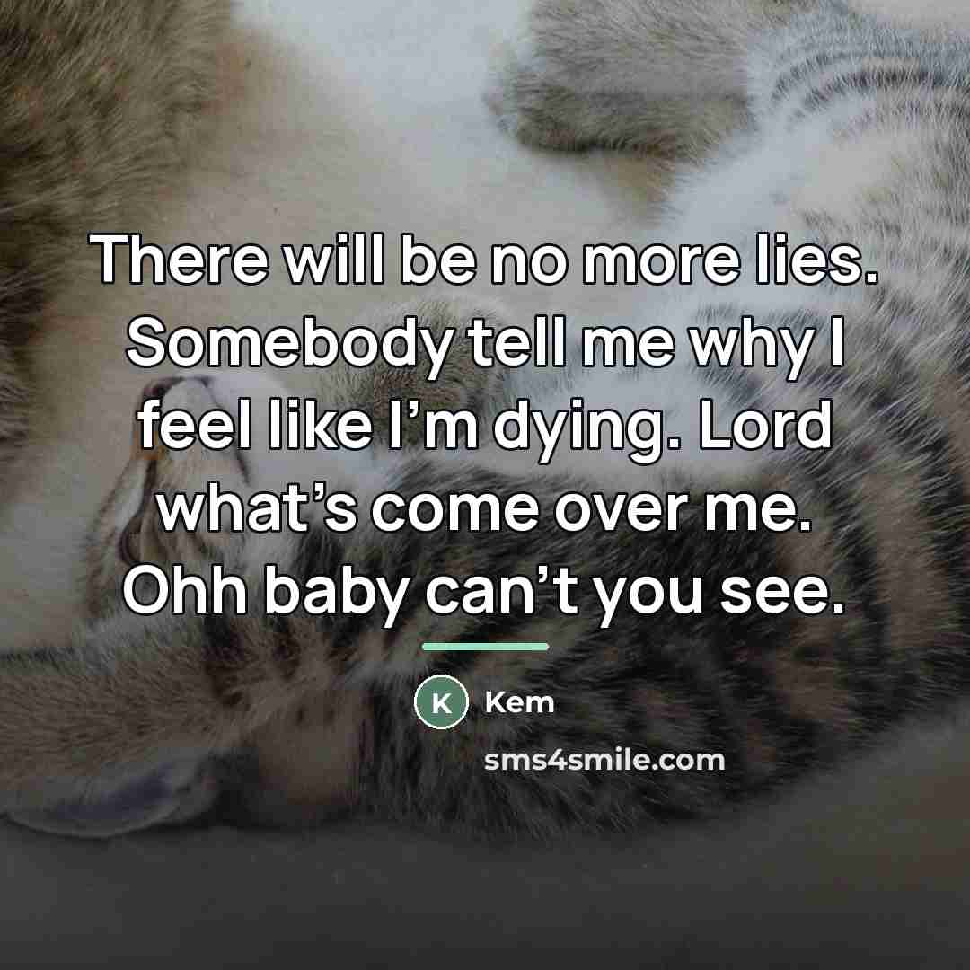 “There will be no more lies. Somebody tell me why…” quote by Kem