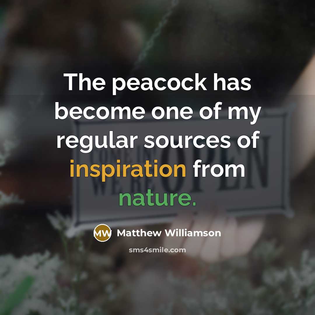 “The peacock has become one of my regular sources of…” quote by Matthew Williamson