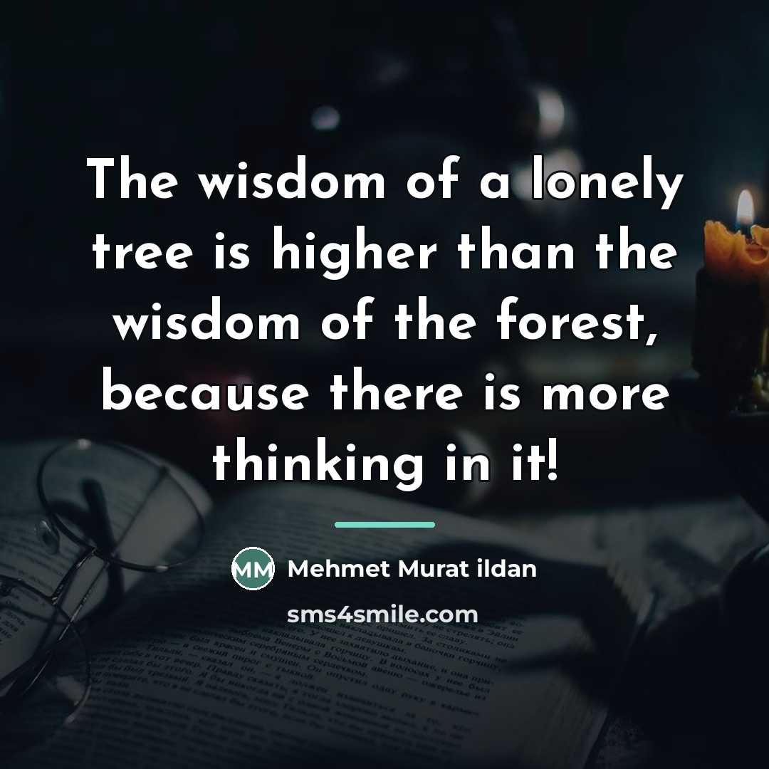“The wisdom of a lonely tree is higher than the…” quote by Mehmet Murat Ildan