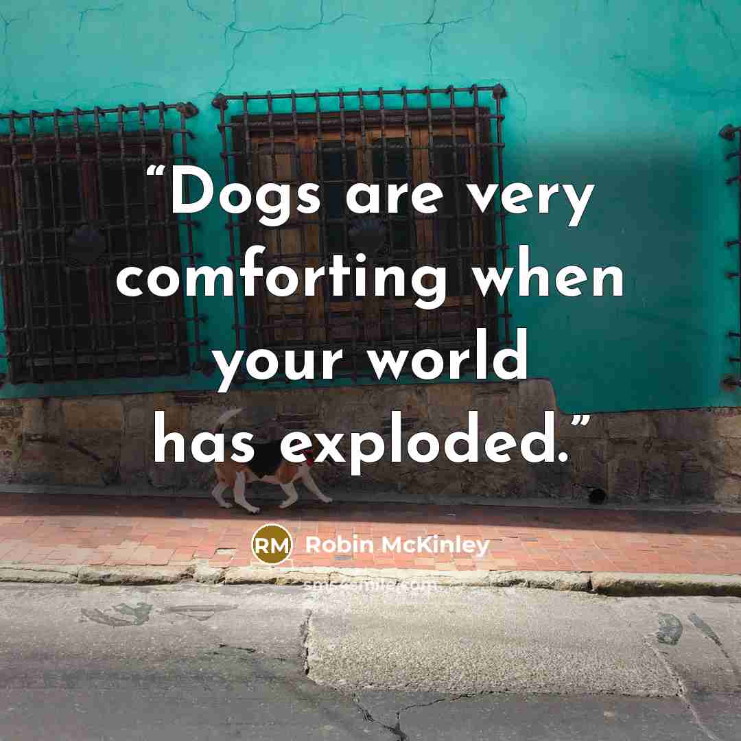 “Dogs are very comforting when your world has exploded.” quote by Robin McKinley