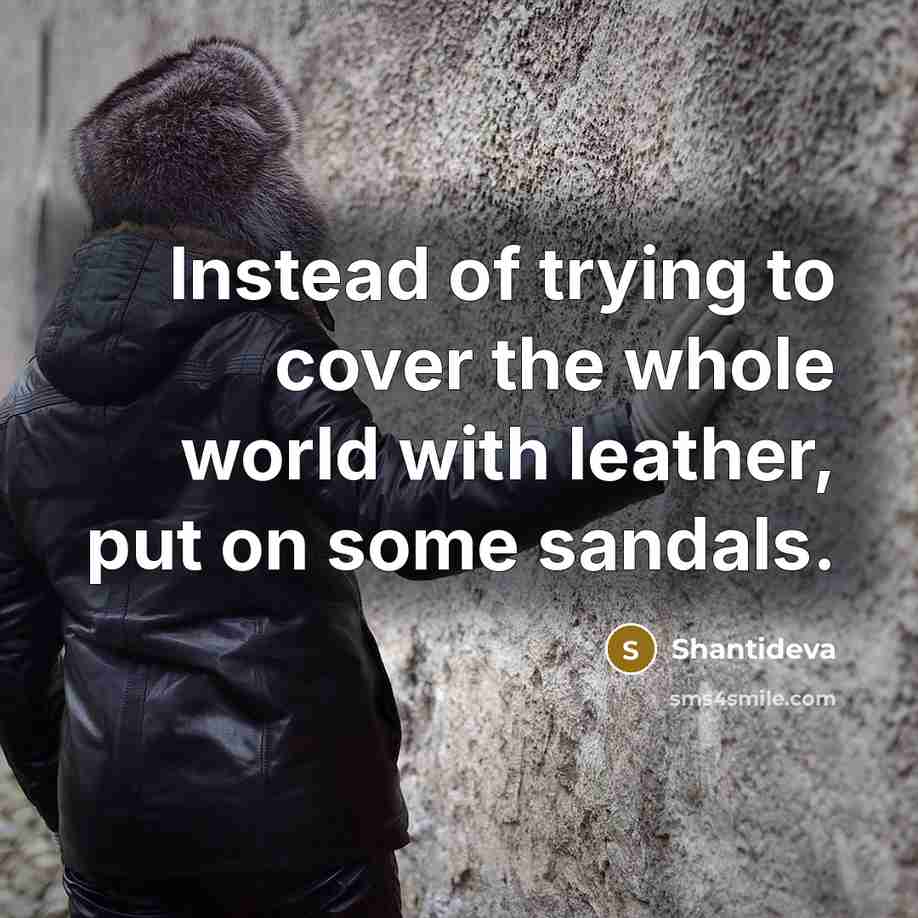 “Instead of trying to cover the whole world with leather, put on some sandals.” quote by Shantideva