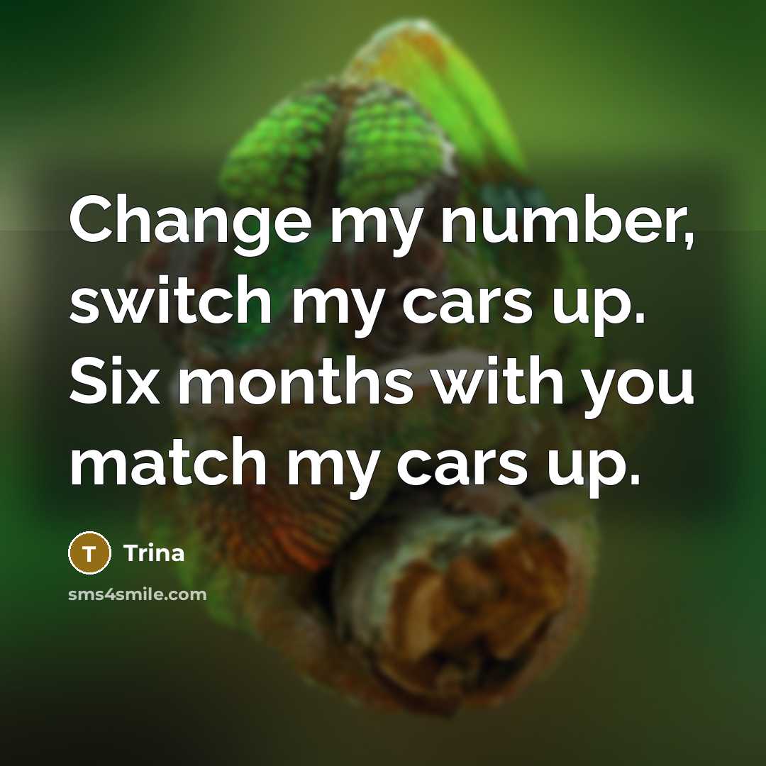 “Change my number, switch my cars up. Six months with…” quote by Trina