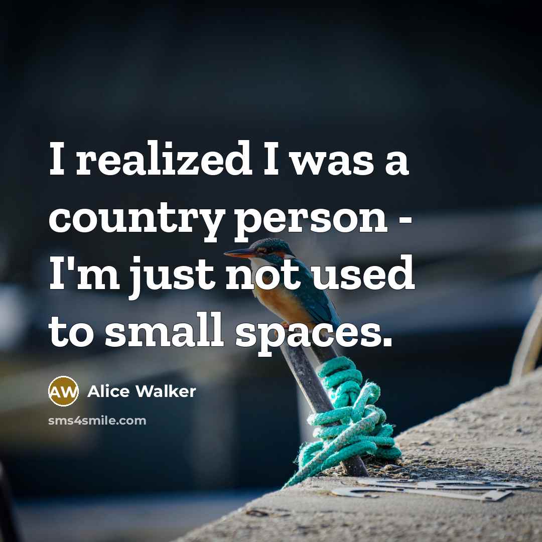 “I realized I was a country person - I'm just…” quote by Alice Walker