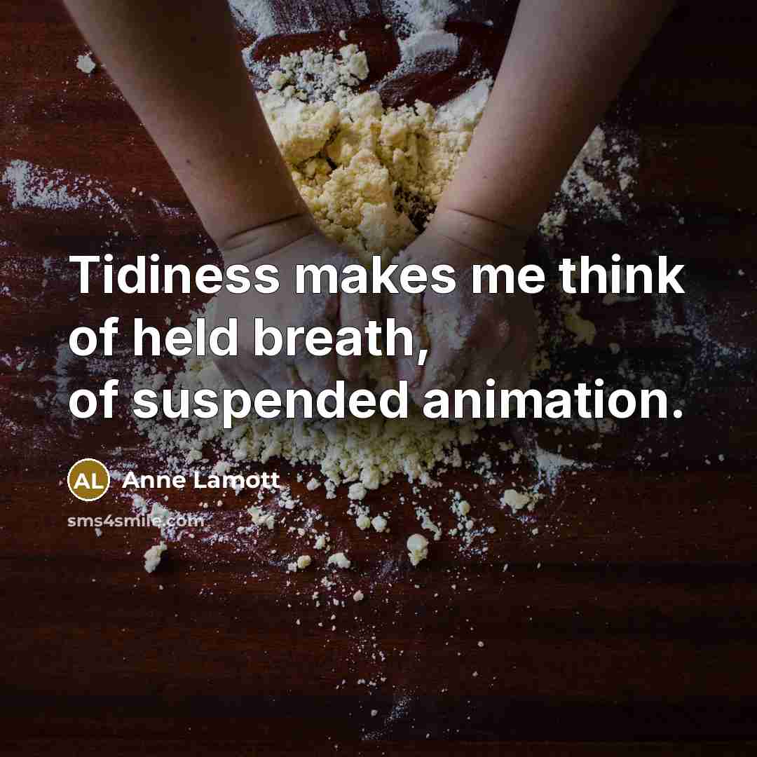 “Tidiness makes me think of held breath, of suspended animation.…” quote by Anne Lamott