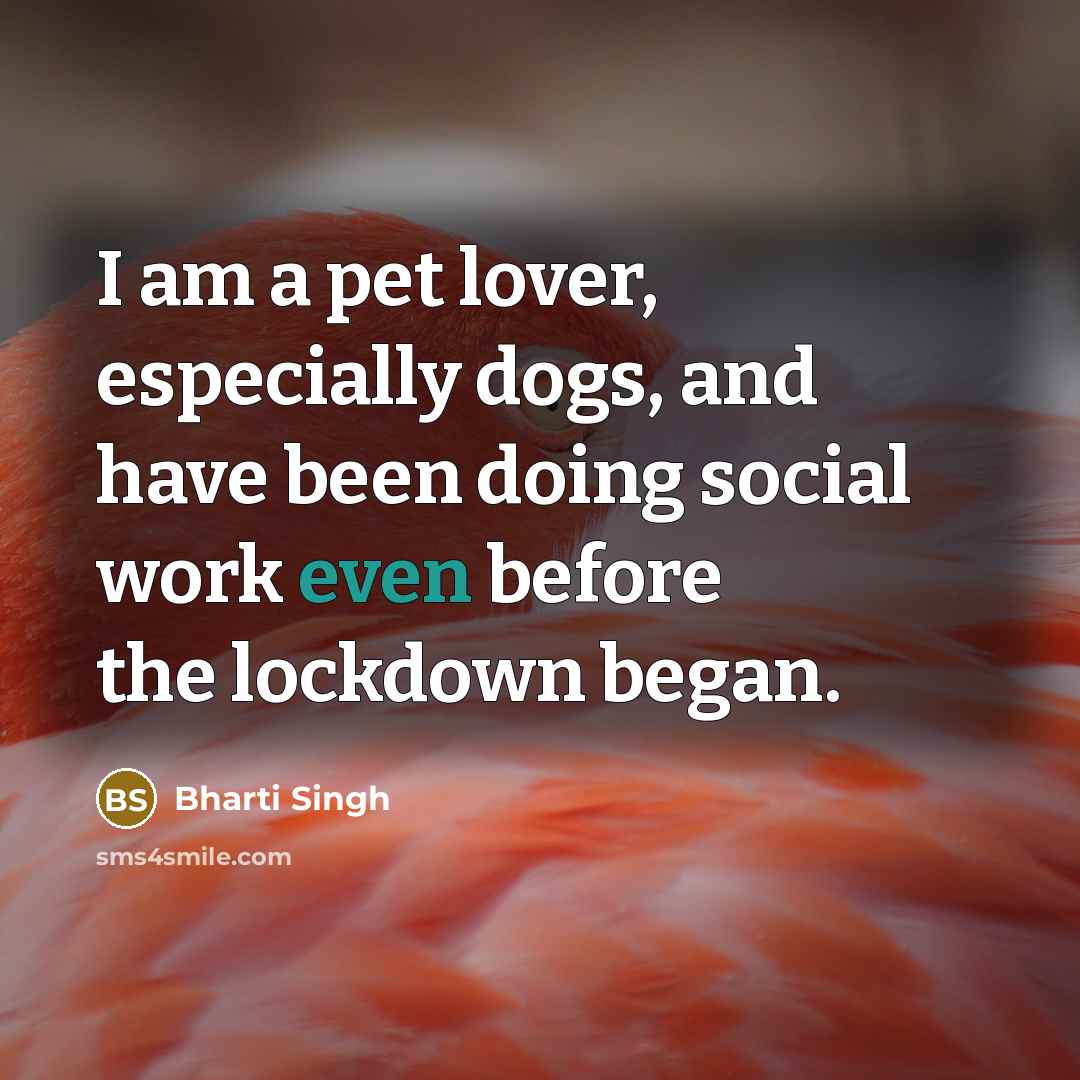 “I am a pet lover, especially dogs, and have been doing social work even before the lockdown began.” quote by Bharti Singh