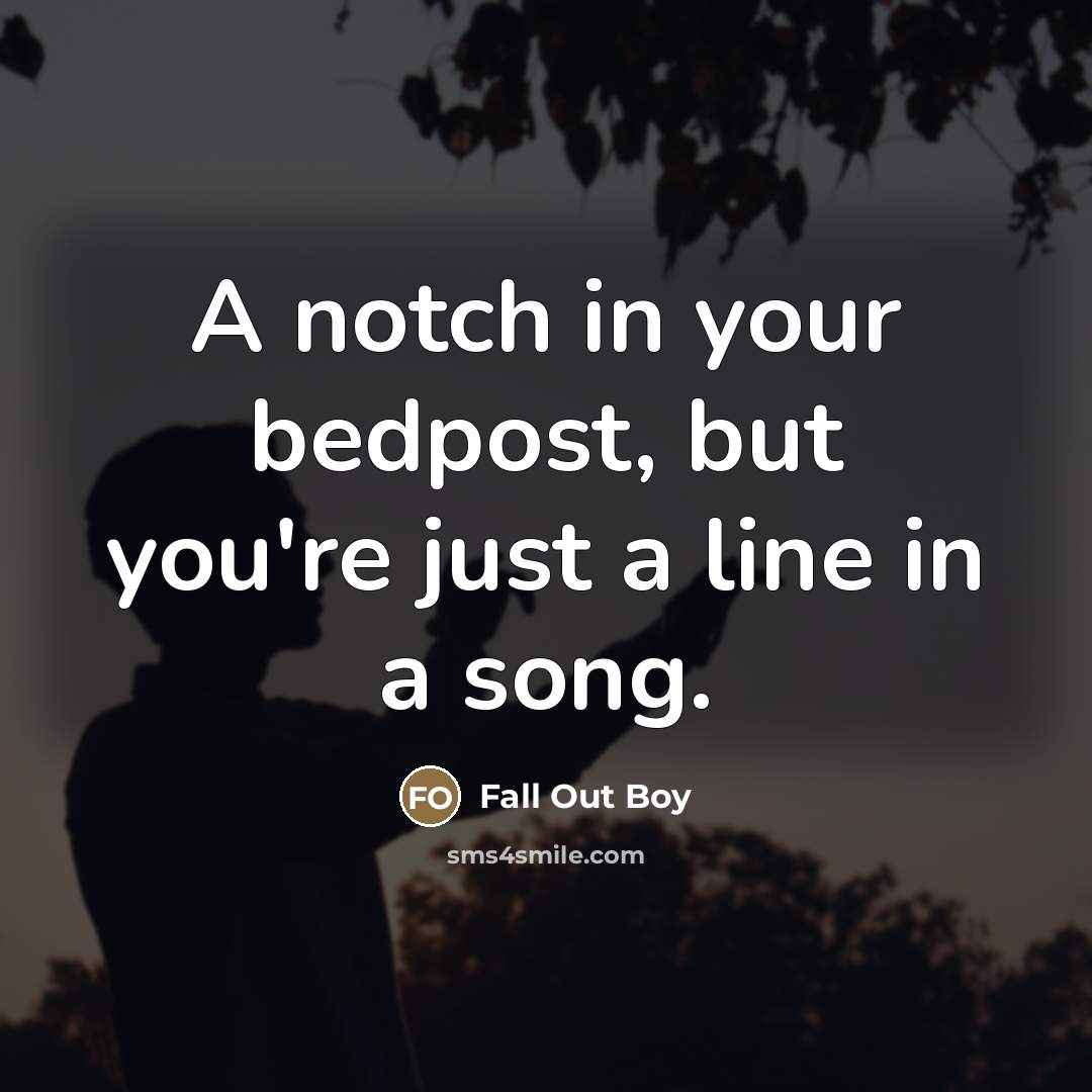 “A notch in your bedpost, but you're just a line…” quote by Fall Out Boy