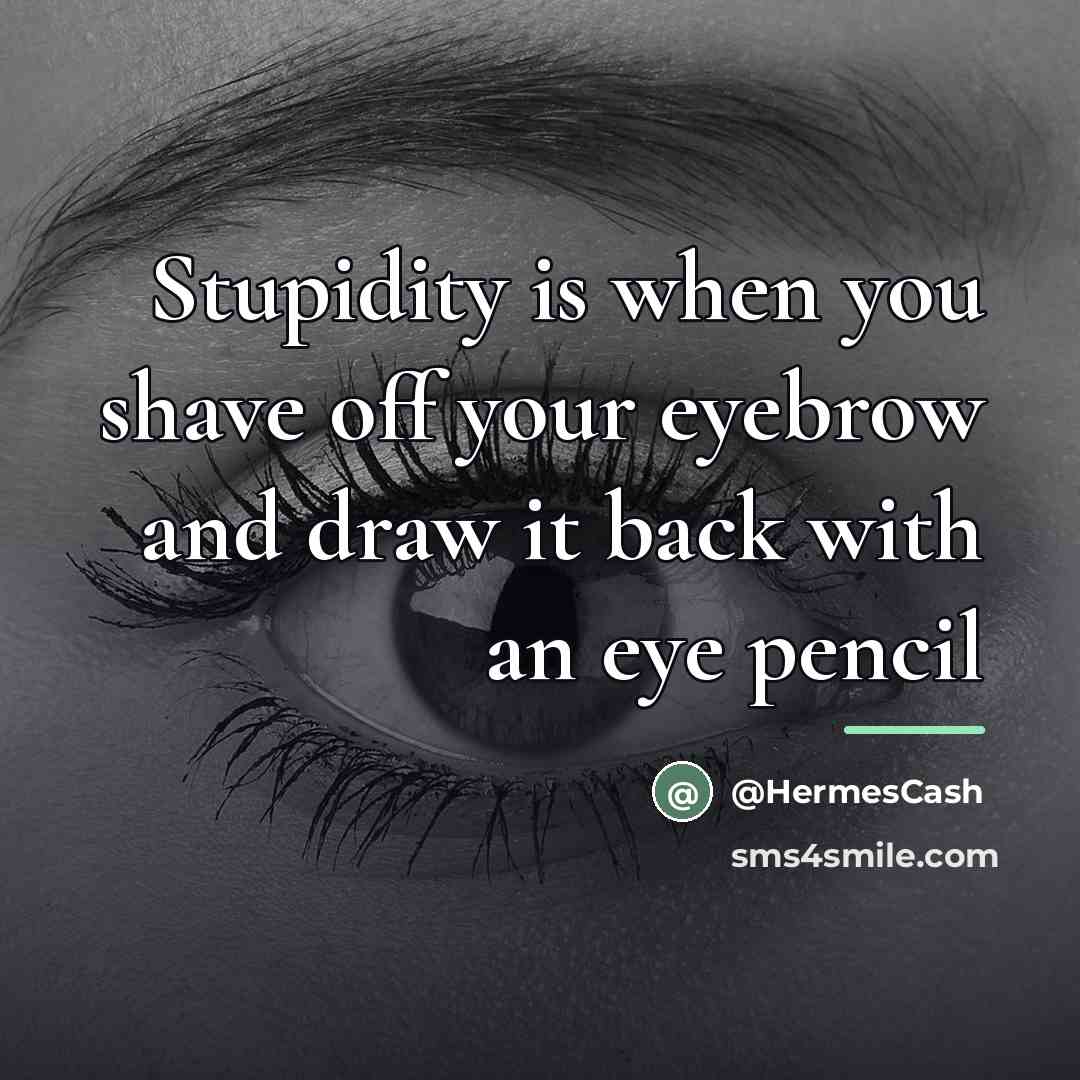 “Stupidity is when you shave off your eyebrow and draw…” quote by HermesCash