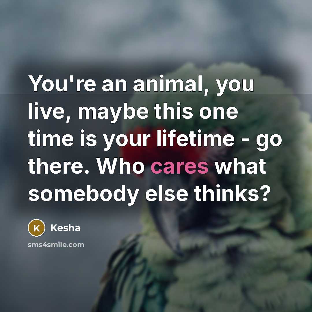 “You're an animal, you live, maybe this one time is…” quote by Kesha