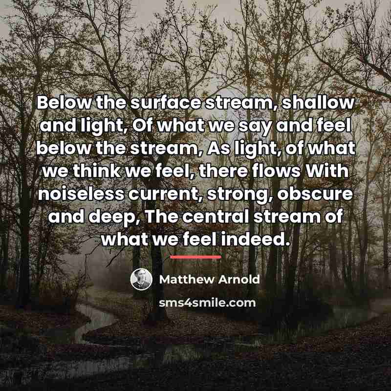 “Below the surface stream, shallow and light, Of what we…” quote by Matthew Arnold