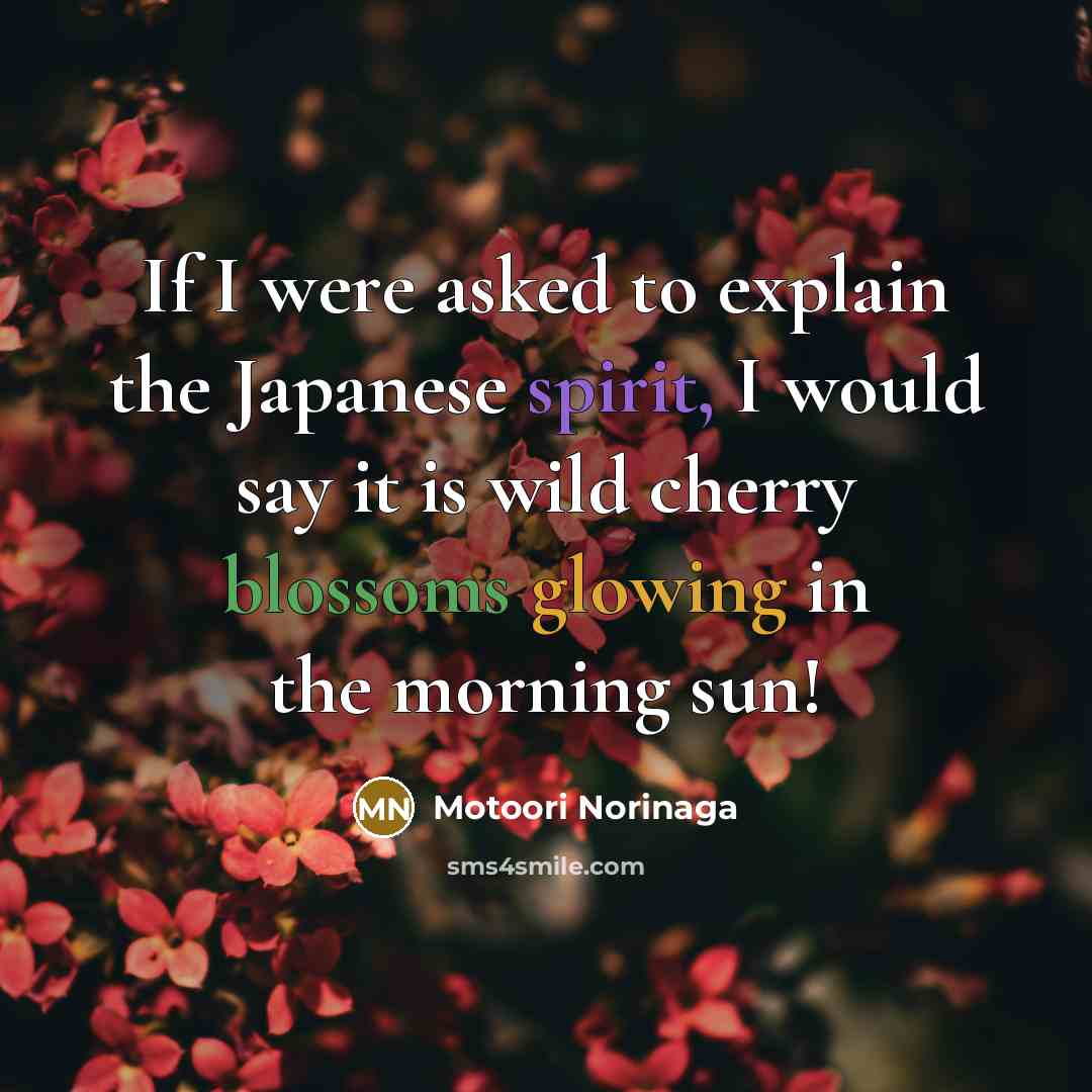 “If I were asked to explain the Japanese spirit, I would say it is wild cherry blossoms glowing in the morning sun!” quote by Motoori Norinaga