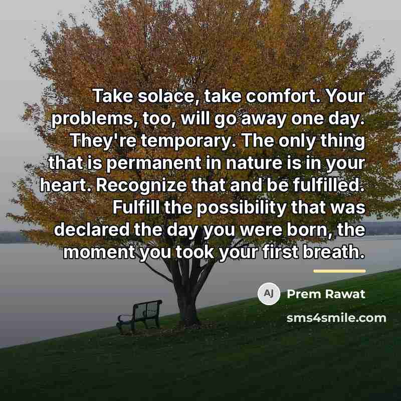 “Take solace, take comfort. Your problems, too, will go away…” quote by Prem Rawat