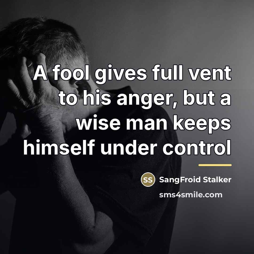 “A fool gives full vent to his anger, but a…” quote by SangFroid Stalker