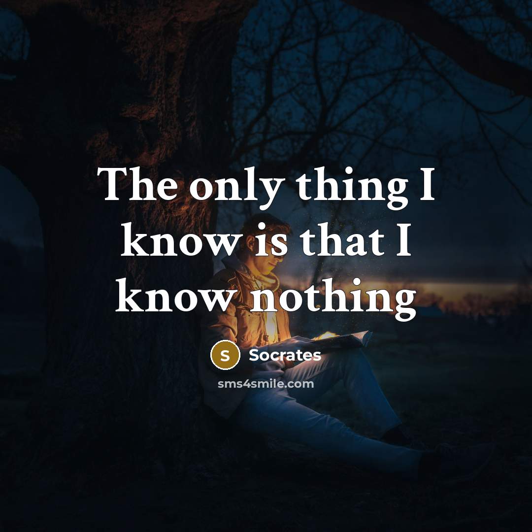 “The only thing I know is that I know nothing” quote by Socrates