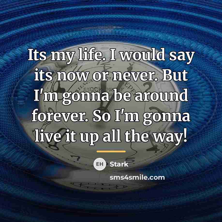 “Its my life. I would say its now or never.…” quote by Stark