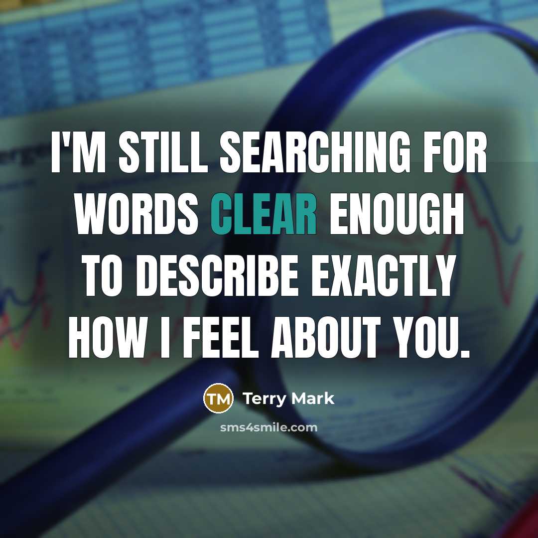 “I'm still searching for words clear enough to describe exactly how I feel about you.” quote by Terry Mark