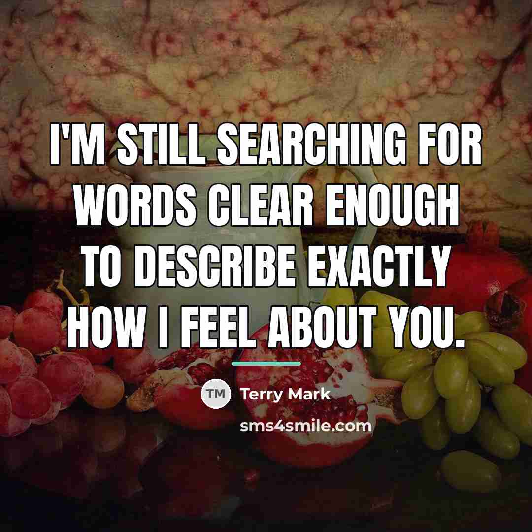 “I'm still searching for words clear enough to describe exactly…” quote by Terry Mark