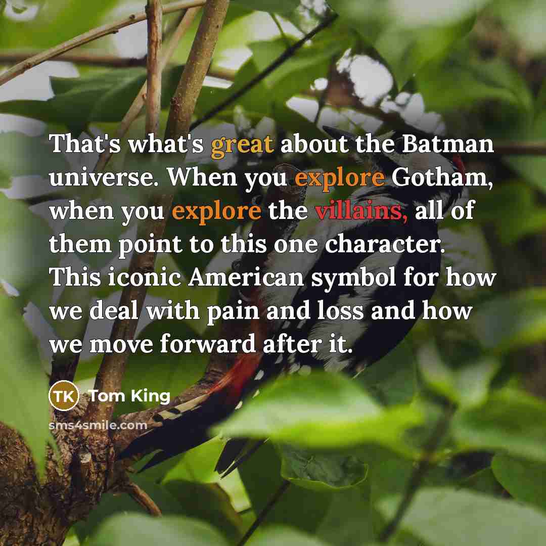 “That's what's great about the Batman universe. When you explore Gotham, when you explore the villains, all of them point to this one character. This iconic American symbol for how we deal with pain and loss and how we move forward after it.” quote by Tom King