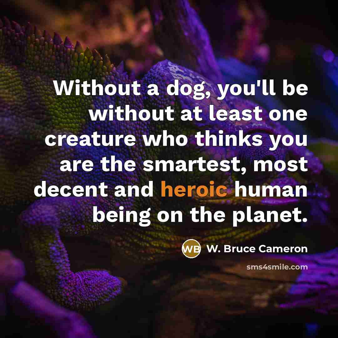 “Without a dog, you'll be without at least one creature who thinks you are the smartest, most decent and heroic human being on the planet.” quote by W. Bruce Cameron