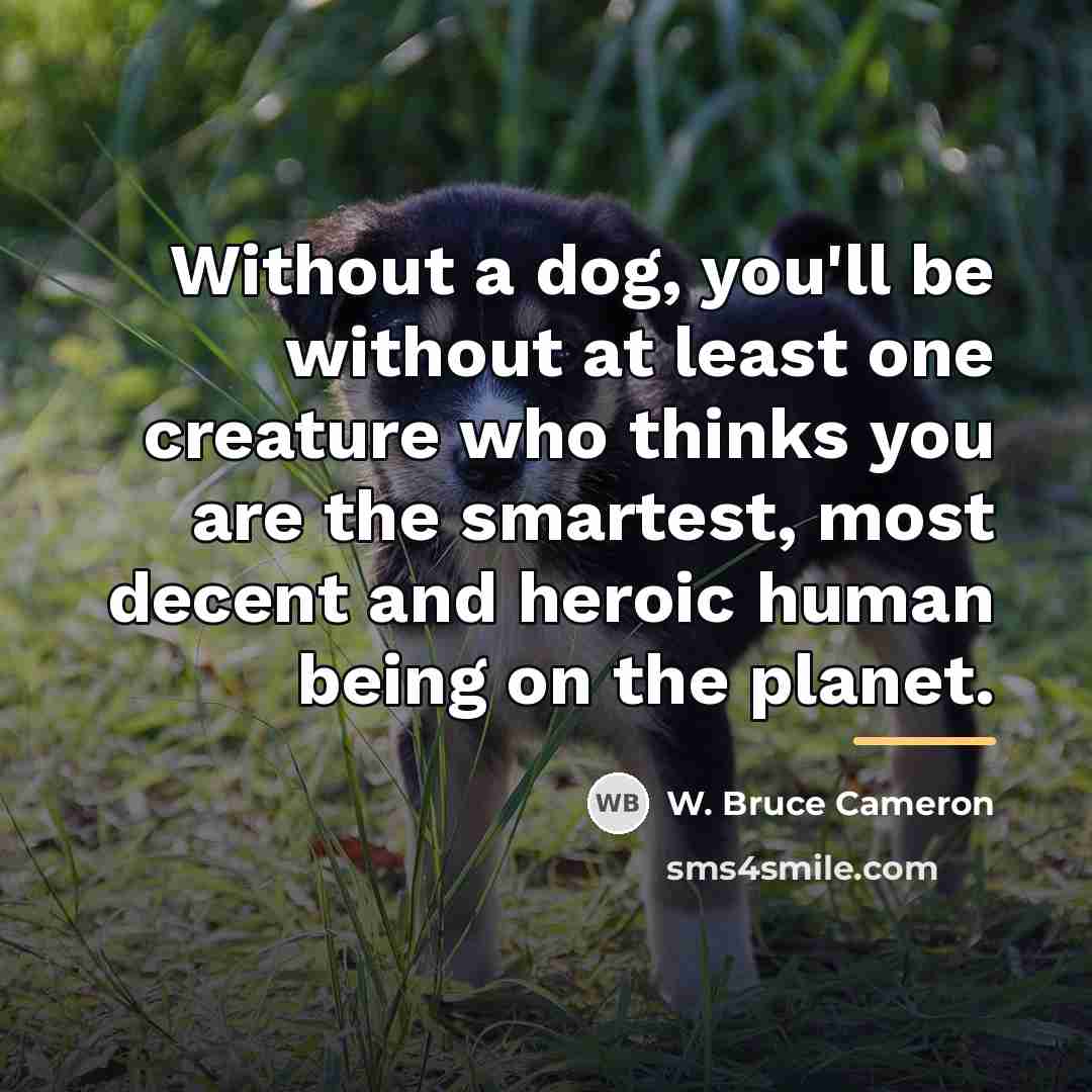 “Without a dog, you'll be without at least one creature…” quote by W. Bruce Cameron