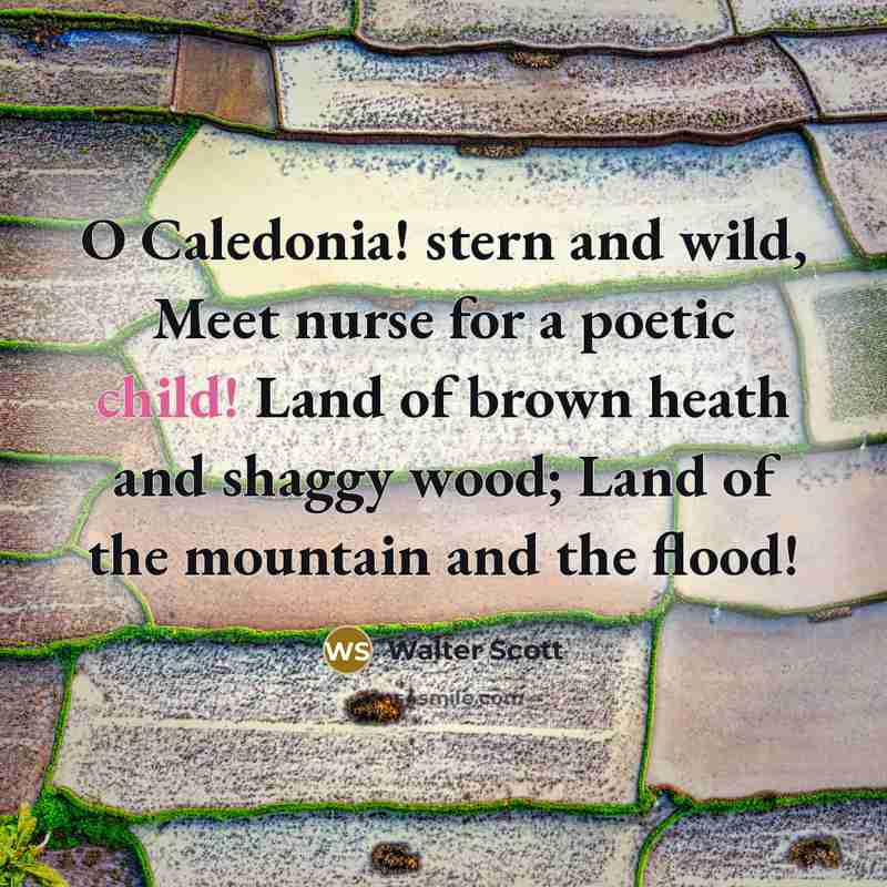 “O Caledonia! stern and wild, Meet nurse for a poetic…” quote by Walter Scott