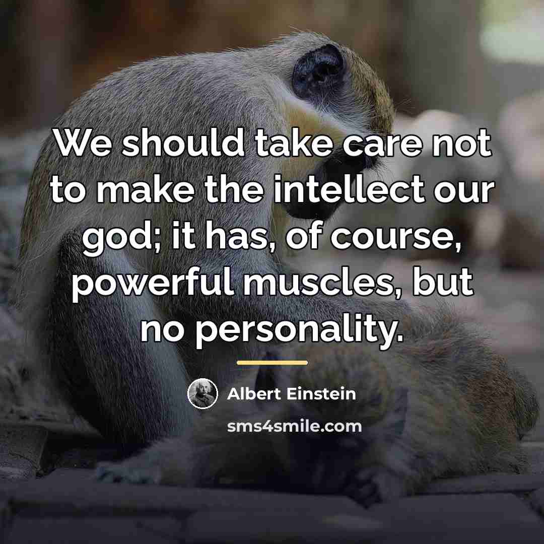 “We should take care not to make the intellect our…” quote by Albert Einstein