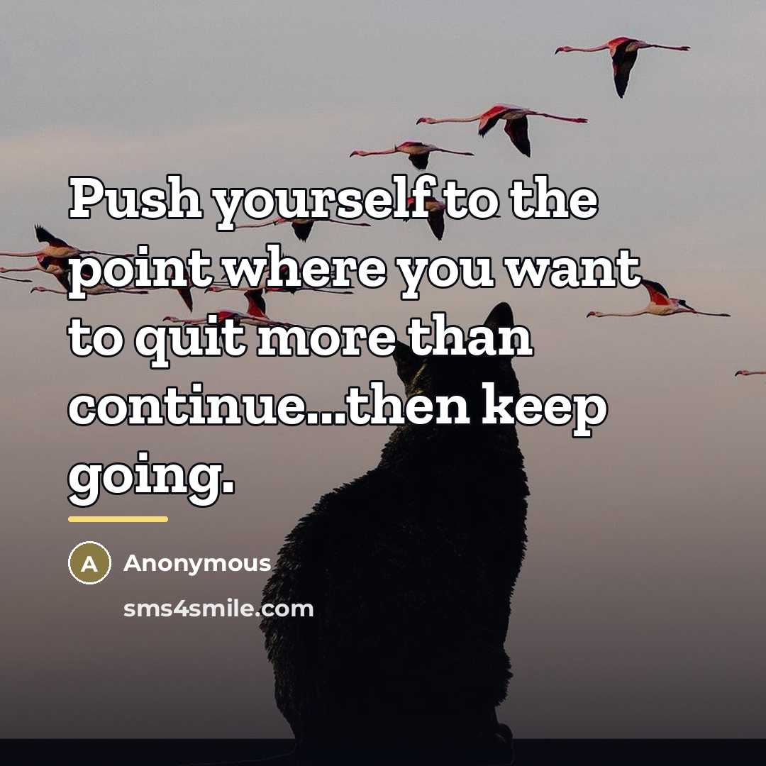 “Push yourself to the point where you want to quit…” quote by Anonymous