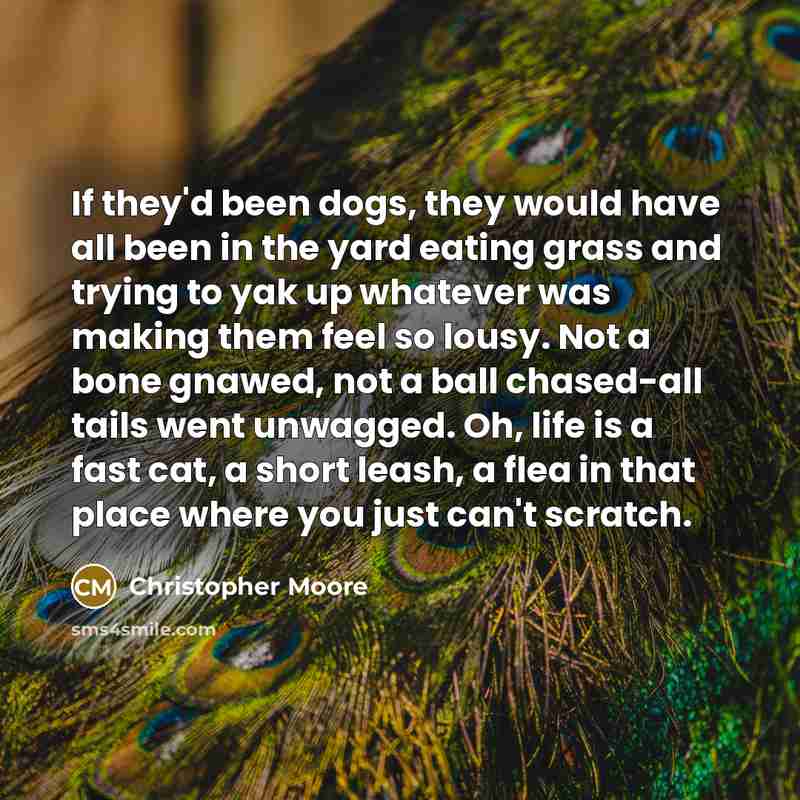 “If they'd been dogs, they would have all been in the yard eating grass and trying to yak up whatever was making them feel so lousy. Not a bone gnawed, not a ball chased-all tails went unwagged. Oh, life is a fast cat, a short leash, a flea in that place where you just can't scratch.” quote by Christopher Moore