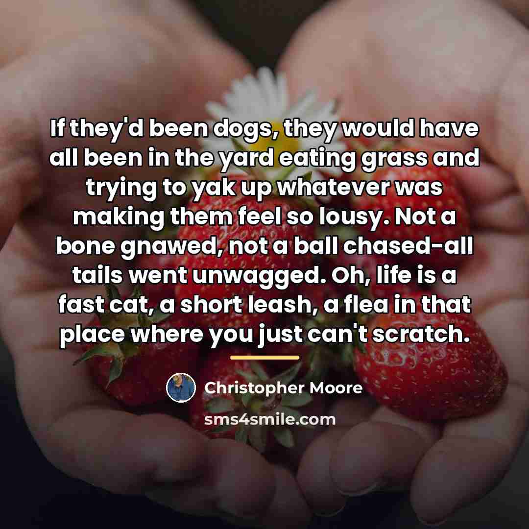 “If they'd been dogs, they would have all been in…” quote by Christopher Moore