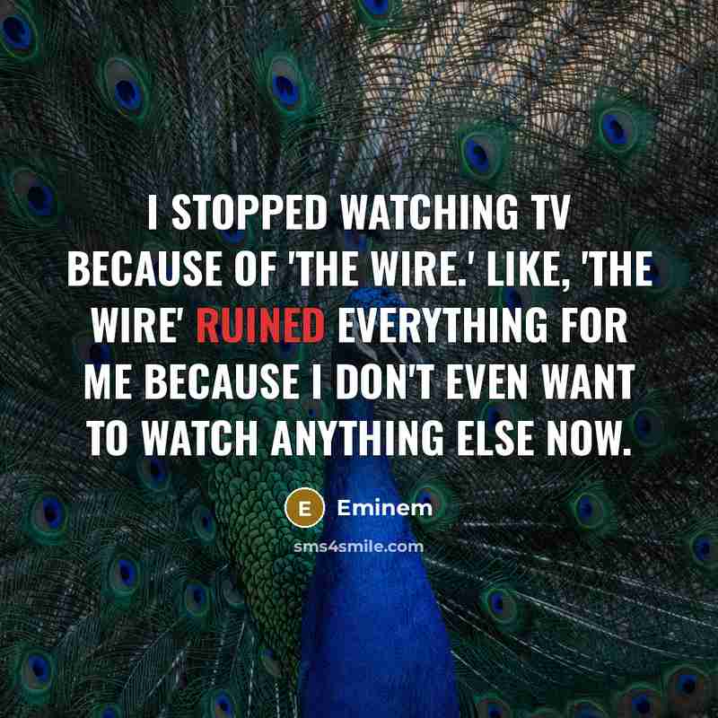 “I stopped watching TV because of 'The Wire.' Like, 'The…” quote by Eminem