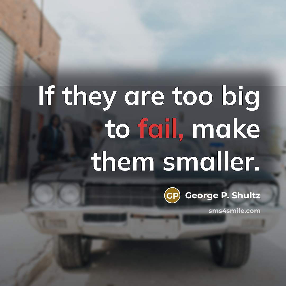 “If they are too big to fail, make them smaller.…” quote by George P. Shultz
