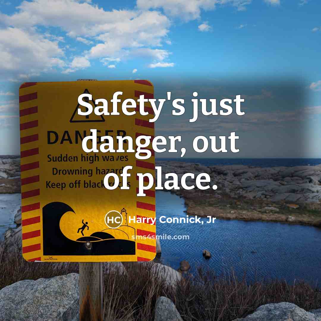 “Safety's just danger, out of place.…” quote by Harry Connick, Jr