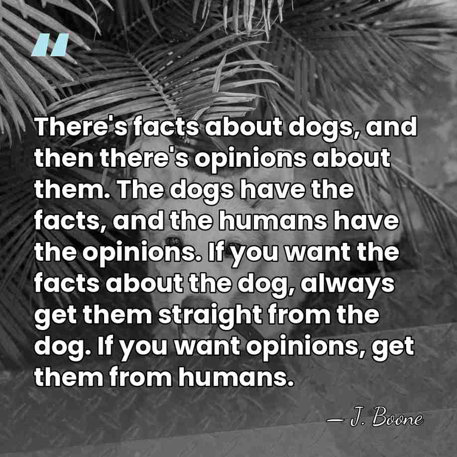 There's facts about dogs, and then there's opinions about them. The dogs&hellip; - J. Boone