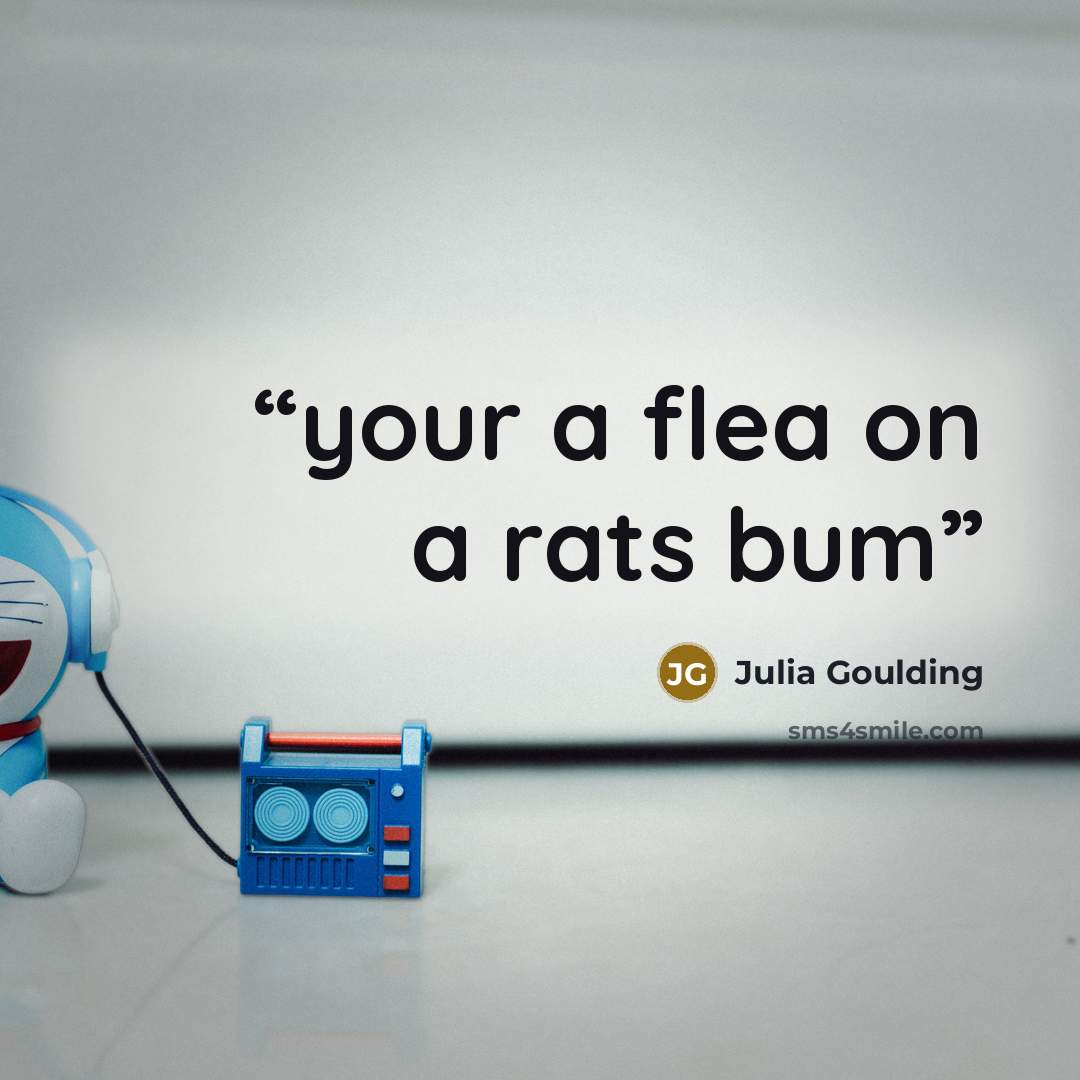 “your a flea on a rats bum” quote by Julia Goulding