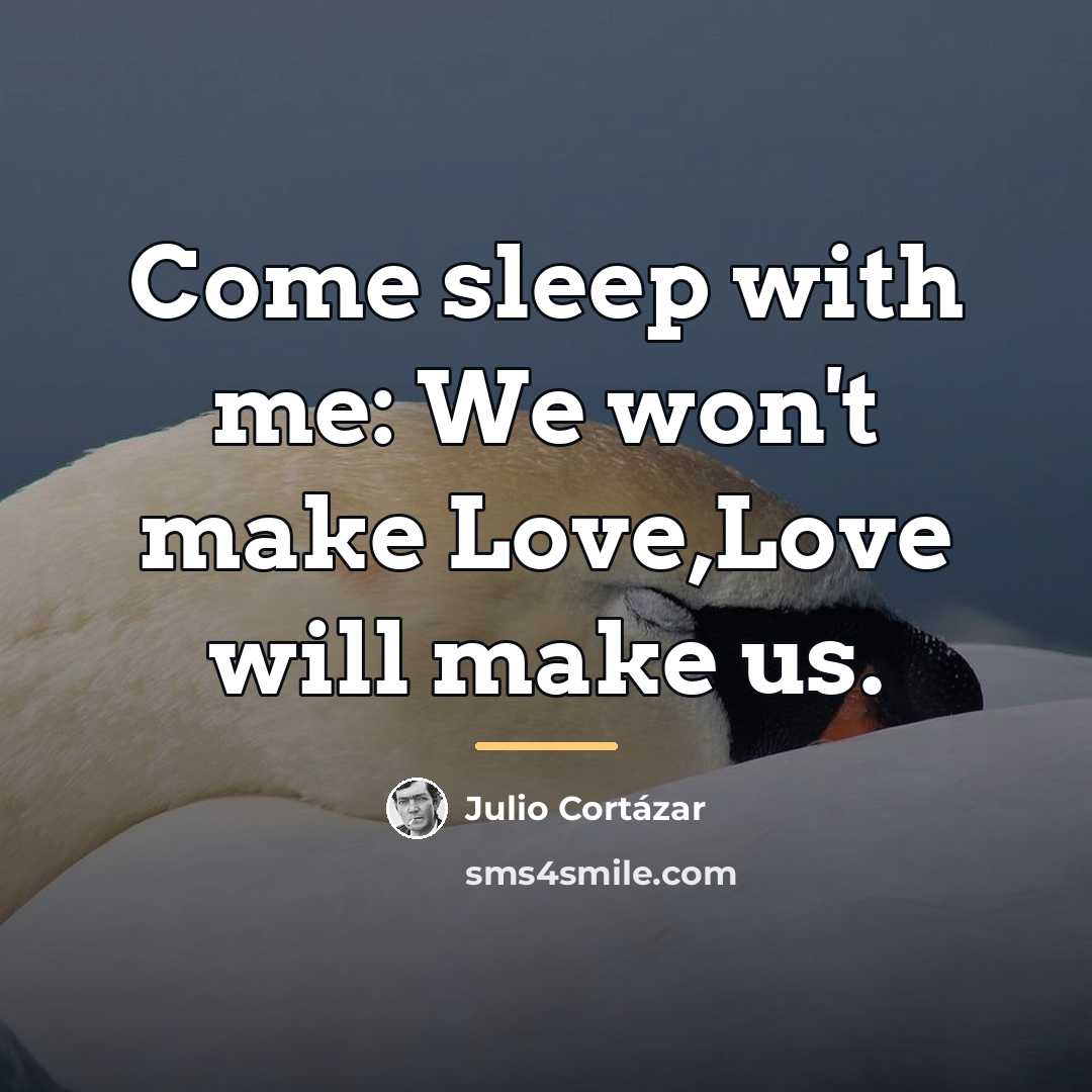 “Come sleep with me: We won't make Love,Love will make…” quote by Julio Cortazar