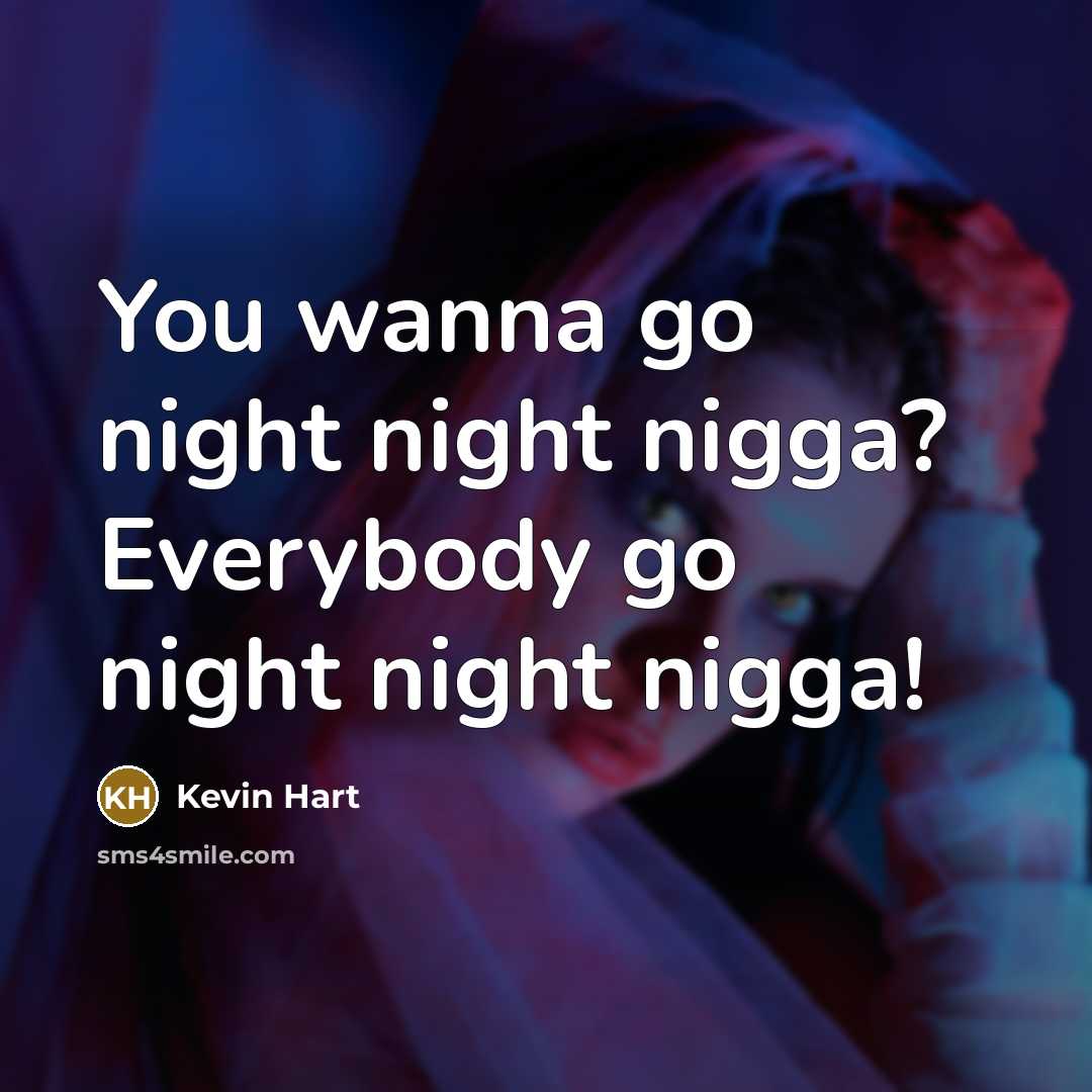 “You wanna go night night nigga? Everybody go night night nigga!” quote by Kevin Hart