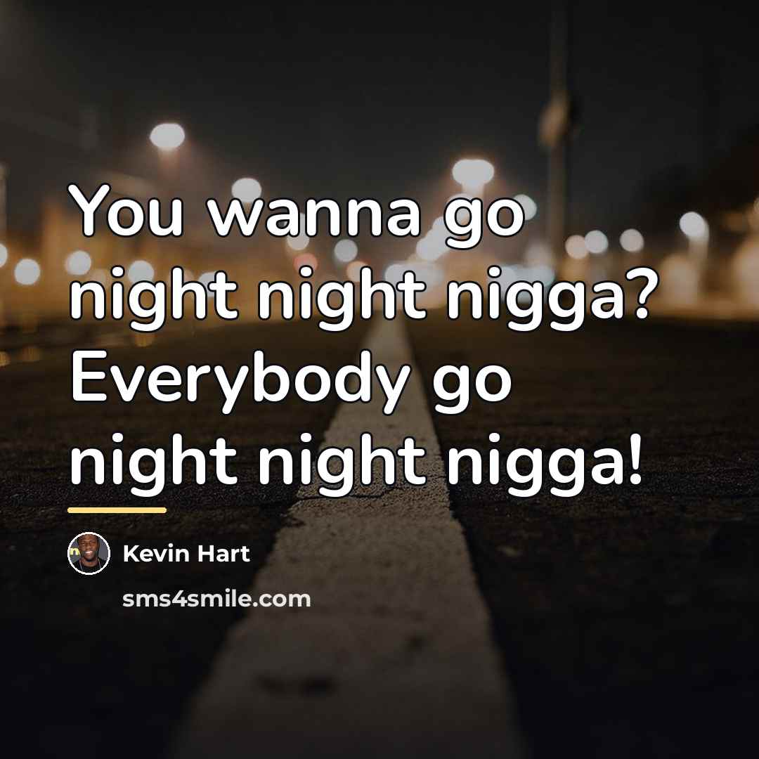“You wanna go night night nigga? Everybody go night night…” quote by Kevin Hart