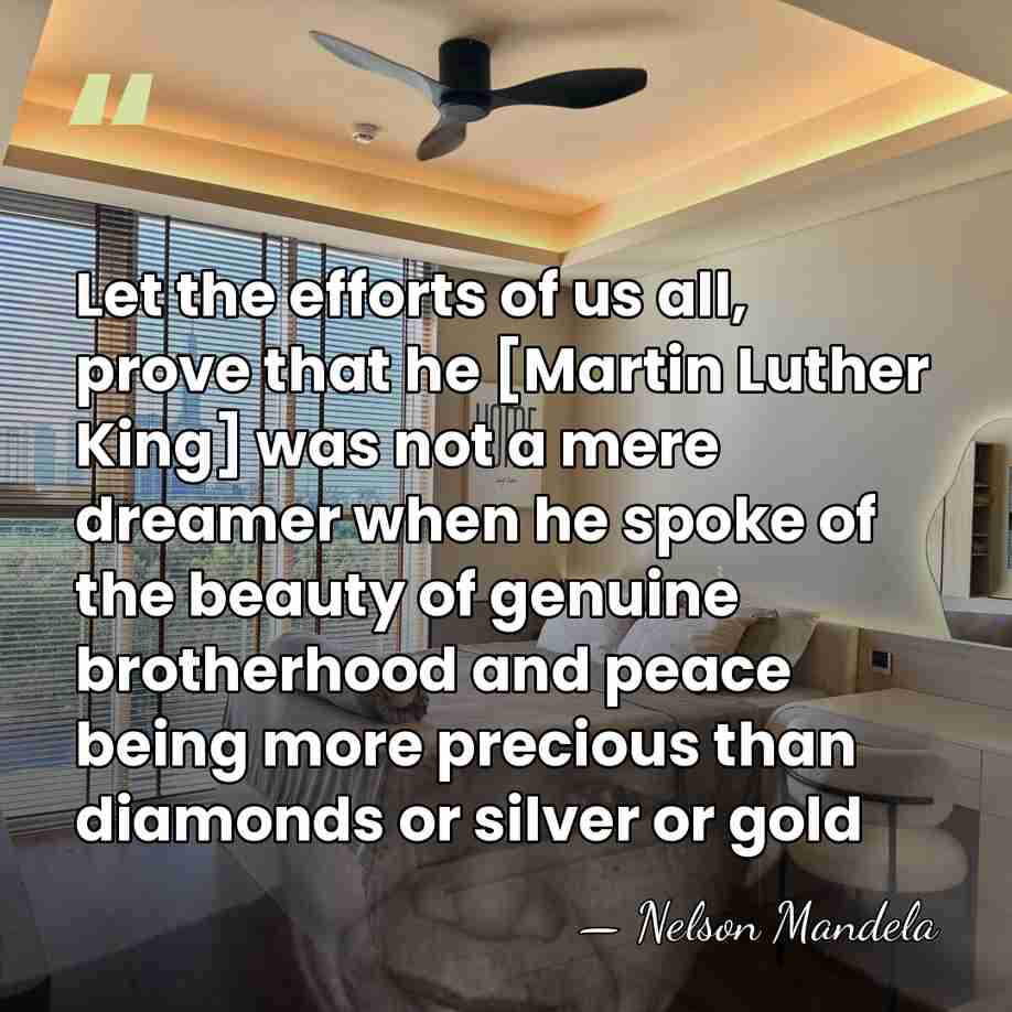Let the efforts of us all, prove that he [Martin Luther King]&hellip; - Nelson Mandela