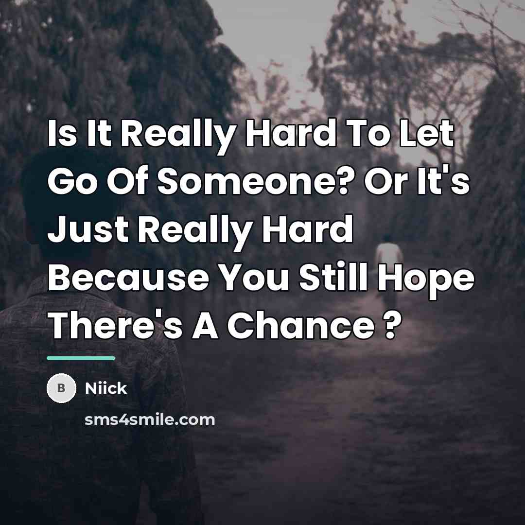 “Is It Really Hard To Let Go Of Someone? Or…” quote by Niick