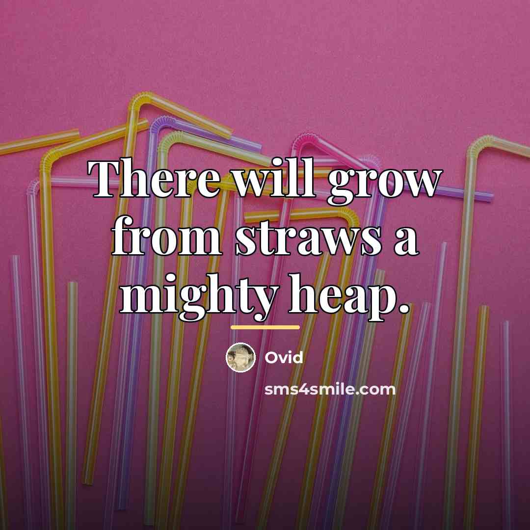 “There will grow from straws a mighty heap.…” quote by Ovid