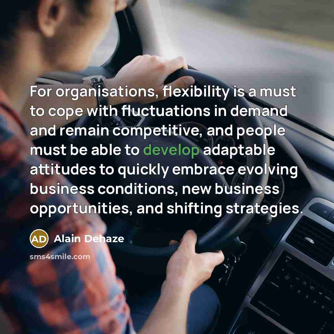 “For organisations, flexibility is a must to cope with fluctuations…” quote by Alain Dehaze