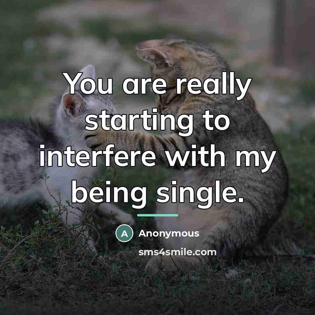 “You are really starting to interfere with my being single.…” quote by Anonymous