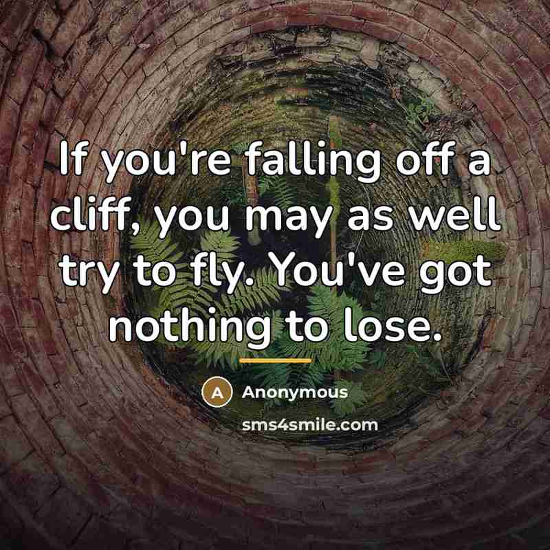“If you're falling off a cliff, you may as well…” quote by Anonymous