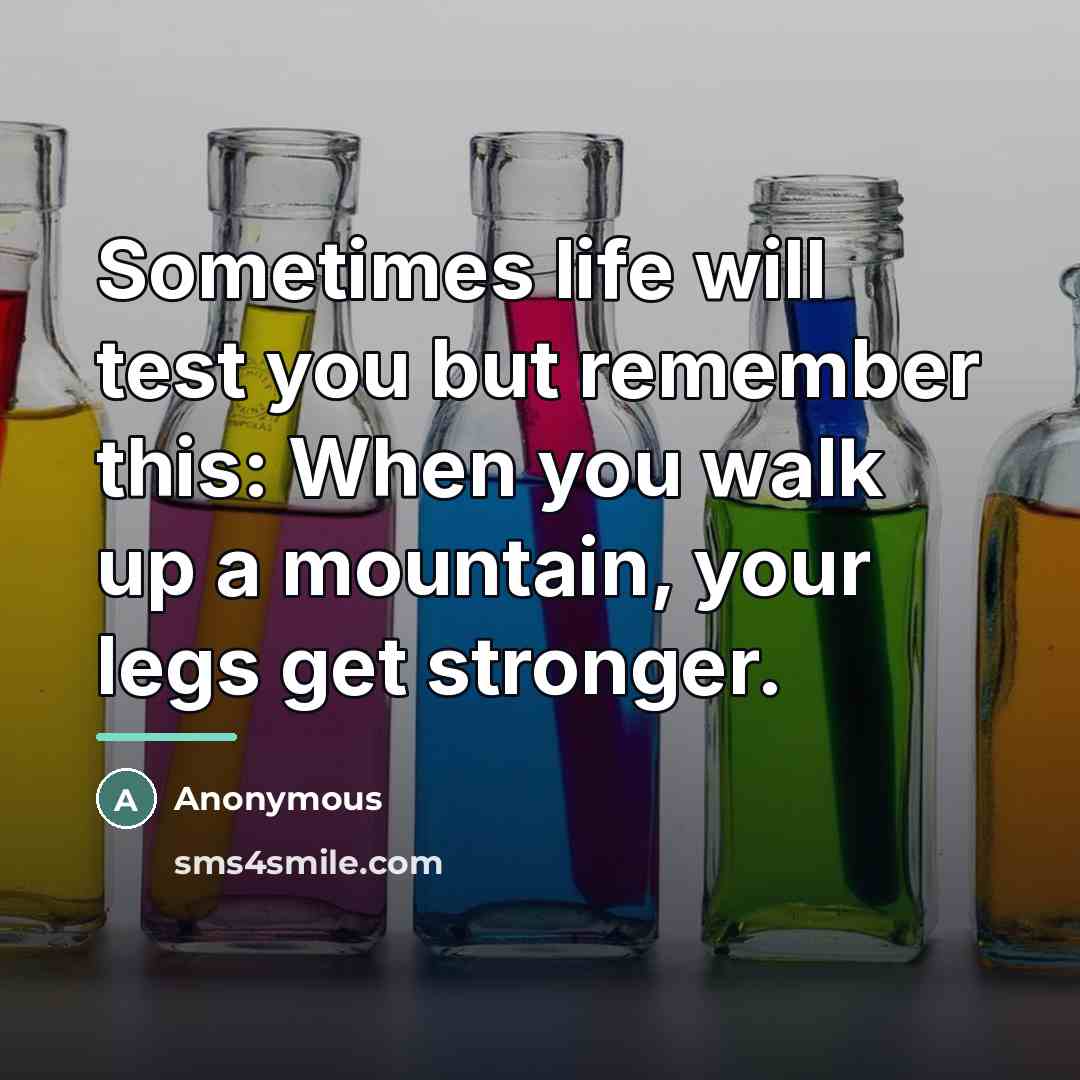“Sometimes life will test you but remember this: When you…” quote by Anonymous